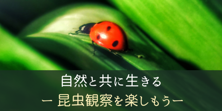 自然と共に生きる　ー昆虫観察を楽しもうー